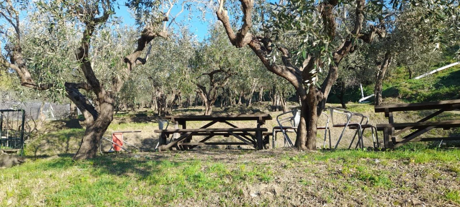 Agriturismo Cele Челле-Лигуре Экстерьер фото